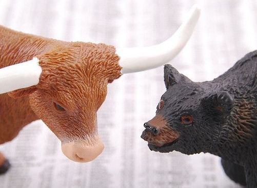 Bull and Bear image