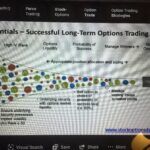 Option trading coach